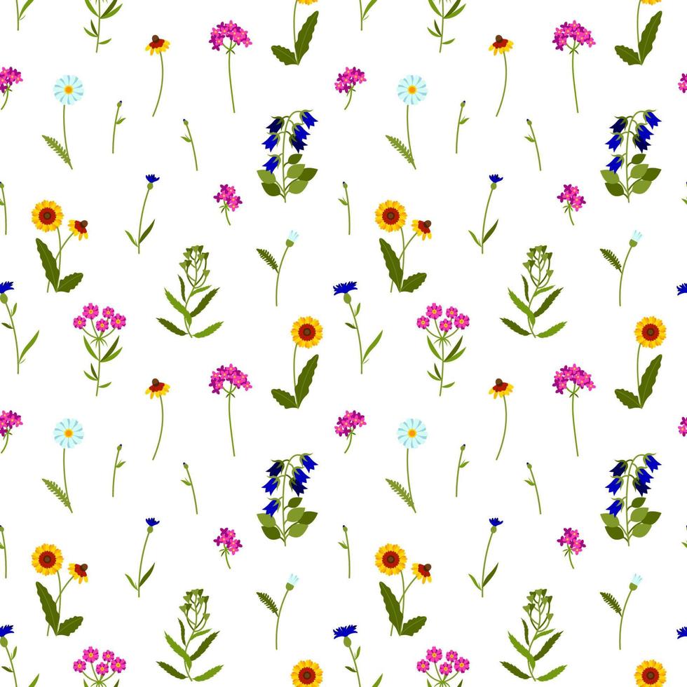 buntes nahtloses muster der wiesenwildblumen. sommerdesign mit echinacea, kamille, kornblume, glockenblume, damengeldbeutel, schafgarbe für textil, stoff, verpackungspapier, drucke. Vektor-Illustration vektor