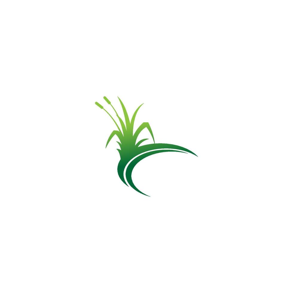 Naturrasen-Symbol-Logo-Design-Vektor-Vorlage vektor