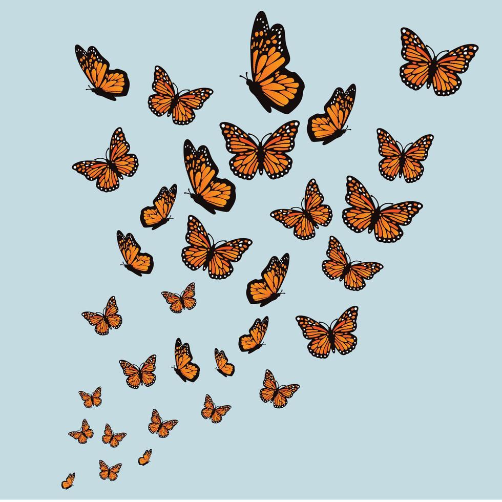 sömlösa mönster med fjärilar vektor