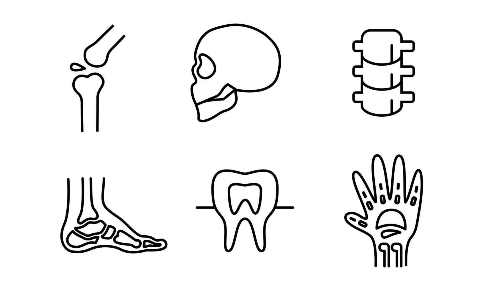 menschliches organ symbol illustration design. einfache innere Organe im Zusammenhang mit Vektorliniensymbolen vektor