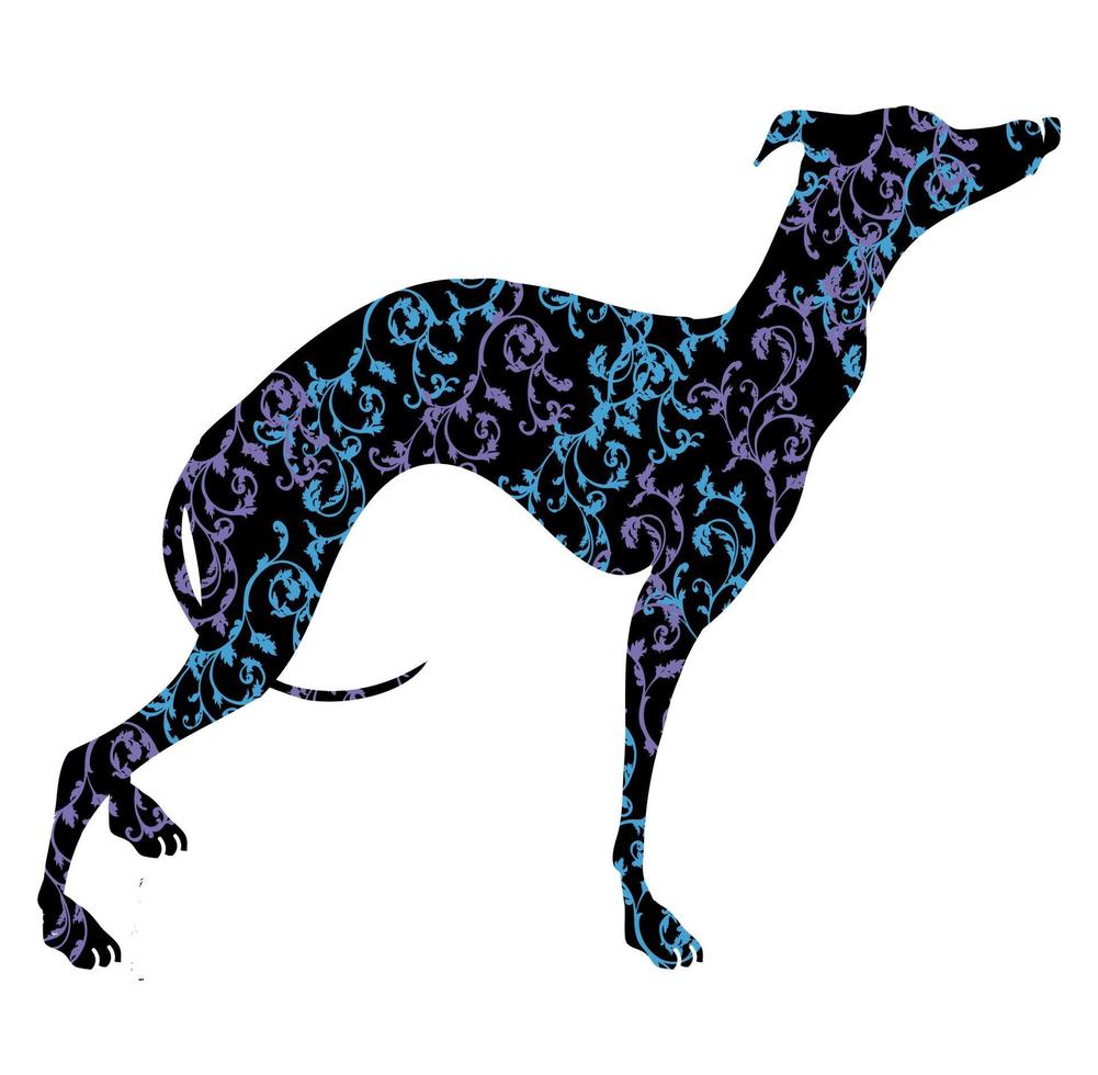 Windhund-Hunderasse-Vektor-Illustration. vektor