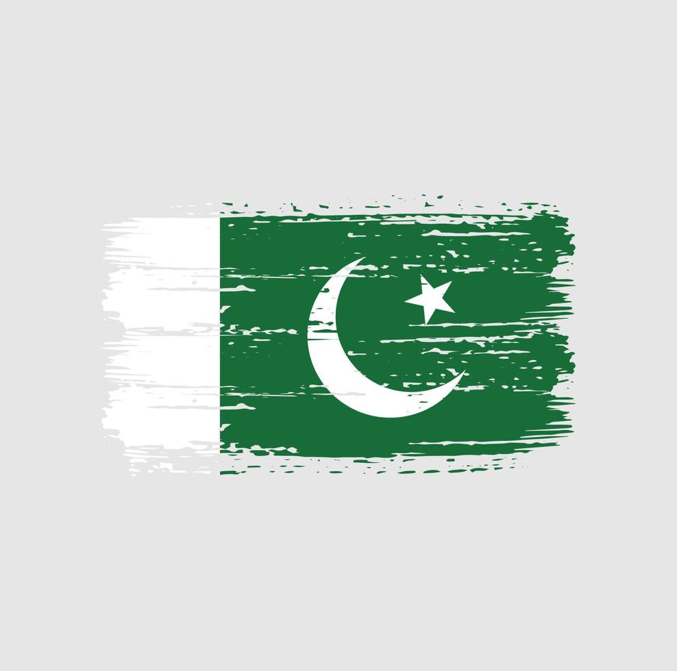 Pinselstriche der pakistanischen Flagge. Nationalflagge vektor