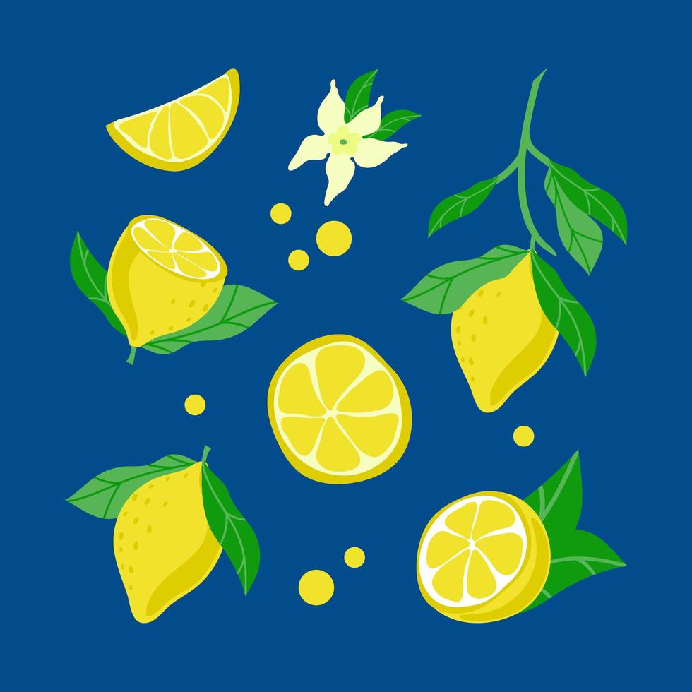uppsättning ljusa citroner, handritade element. sommar. citronskivor och trädgrenar. gula citroner med blad och blommor på mörkblå bakgrund. vektor