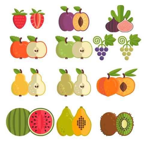 Sammlung von verschiedenen Früchten vektor