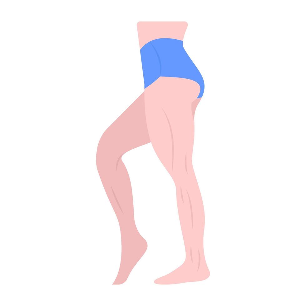gym shorts platt vektor, visar tyg kroppsbyggare träningsutrustning vektor