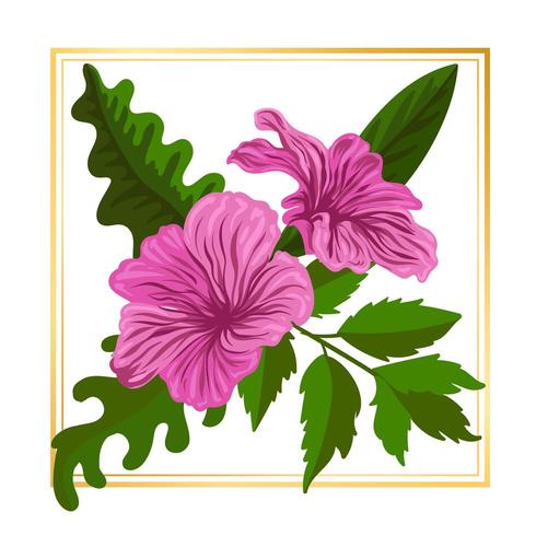 Rosa Blumenblumen-Vektor-Blatt-Natur-Illustrations-Elemente vektor