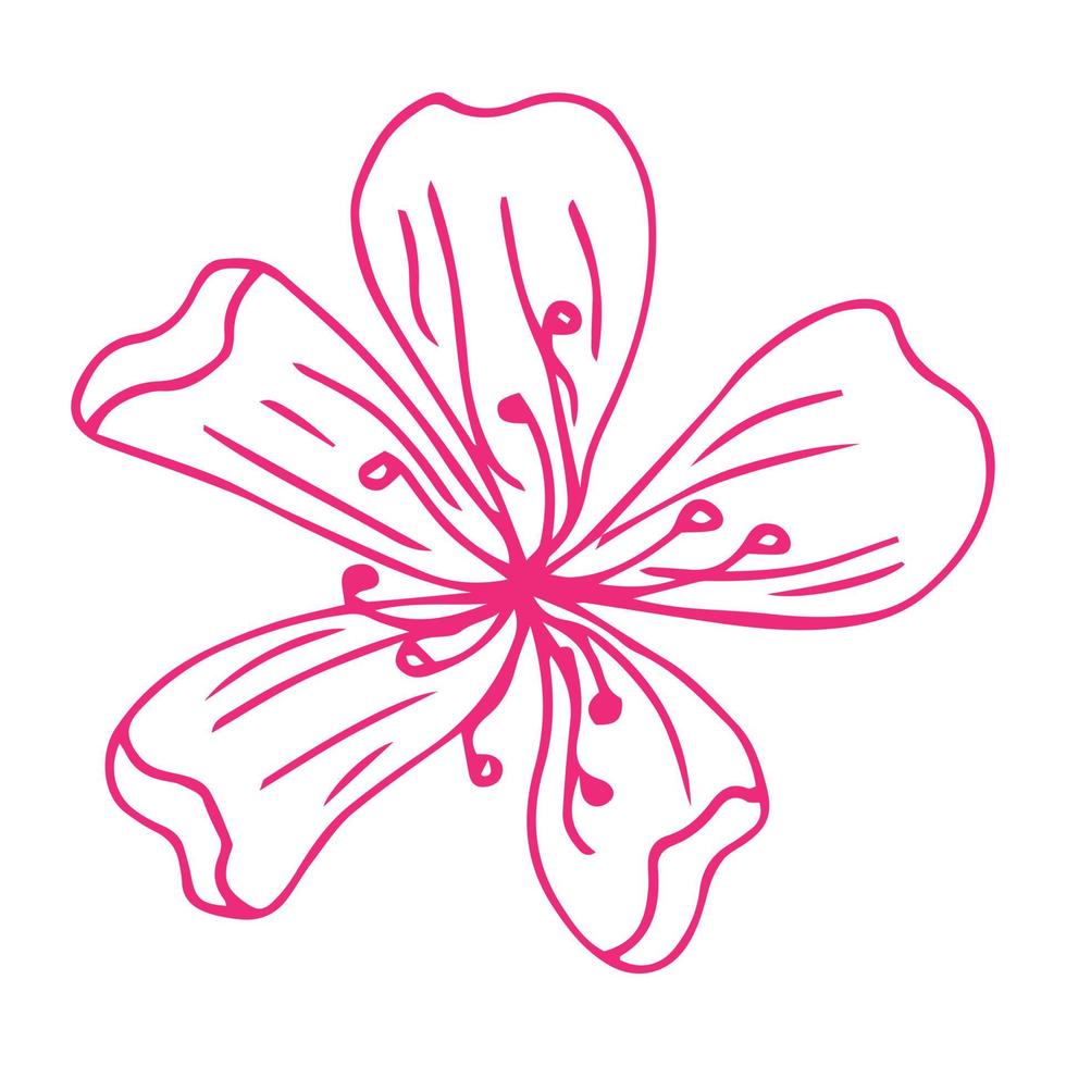 flower art linje. sakura eller äpple blommar i vektor isolerad på vit bakgrund. vårblommor ritade i svart och vit linje. ikon eller symbol för våren och flowers.doodle kontur. skiss.