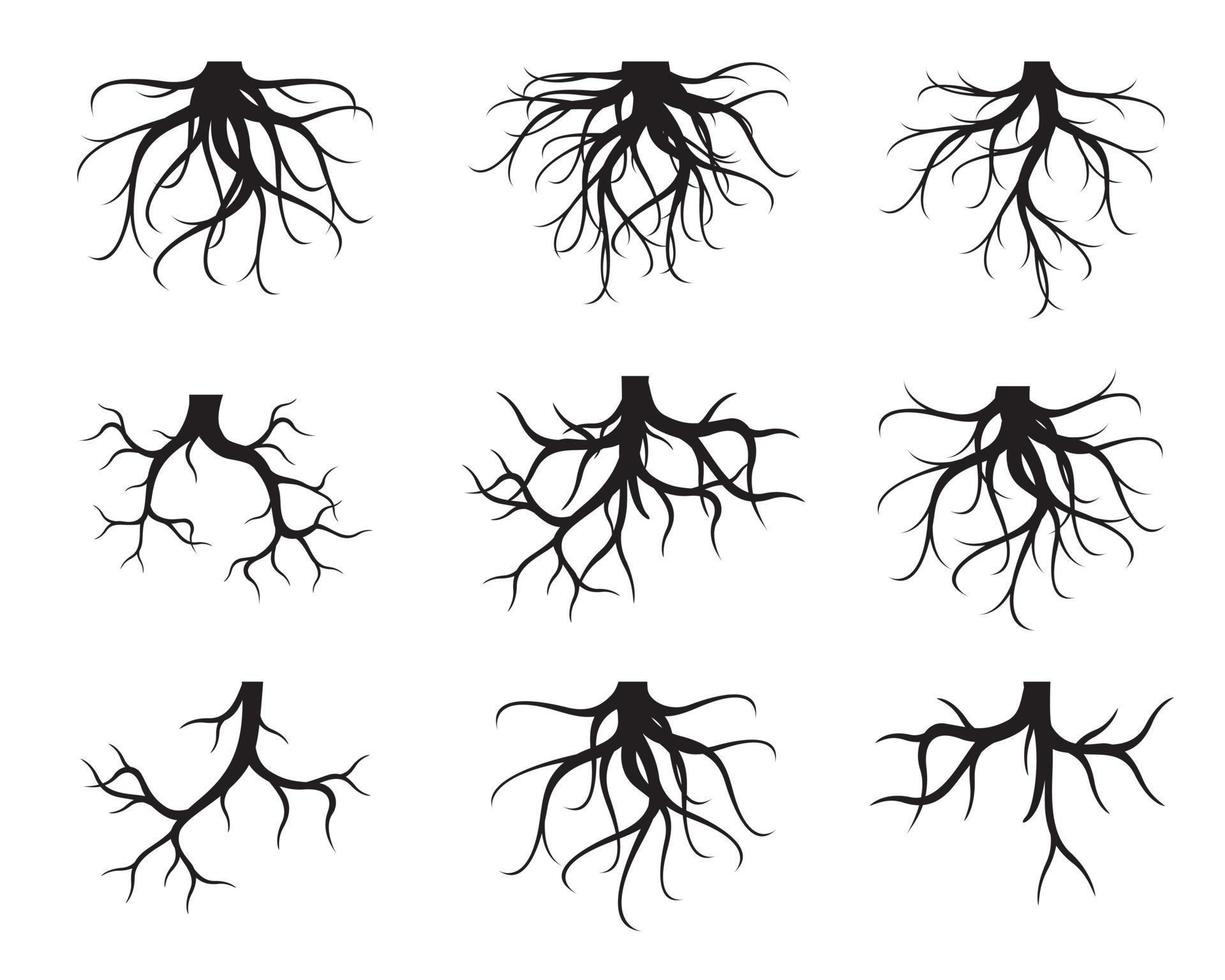 Satz schwarze Baumwurzeln. vektorumrissillustration und naturbild. vektor