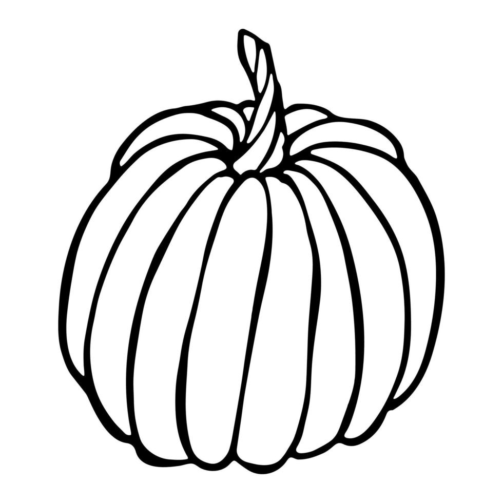 Vektor handgezeichnete Illustration von Kürbis. isoliertes Objekt auf weißem Hintergrund. gemüseernte clipart. Bauernmarktprodukt. elemente für herbstdesign, dekoration.