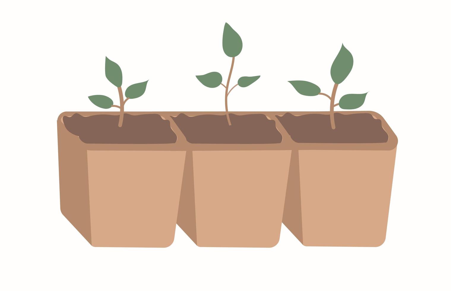 gro en ung planta i ett brunt glas. vektor planta på en isolerad vit bakgrund. plantera ett litet träd. asiatiska plantor
