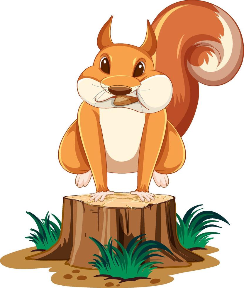 niedliches Cartoon-Eichhörnchen, das auf Baumstumpf mit weißem Hintergrund springt vektor