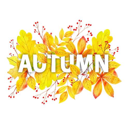 Aquarell Autumn Typography mit Blatt-Rahmen vektor