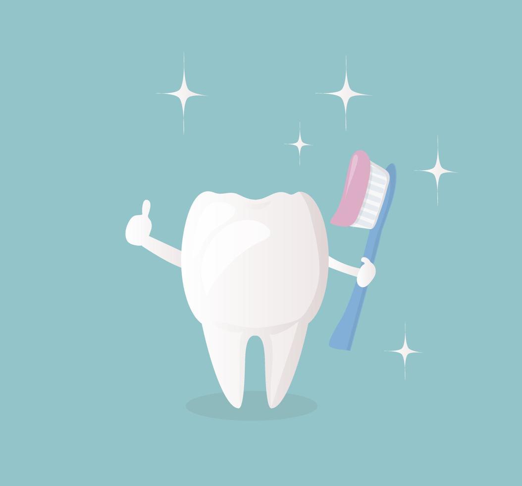 lustiger süßer charakter - weißer gesunder zahn, der eine zahnbürste mit paste hält. Es ist wichtig, sich jeden Tag die Zähne zu putzen vektor