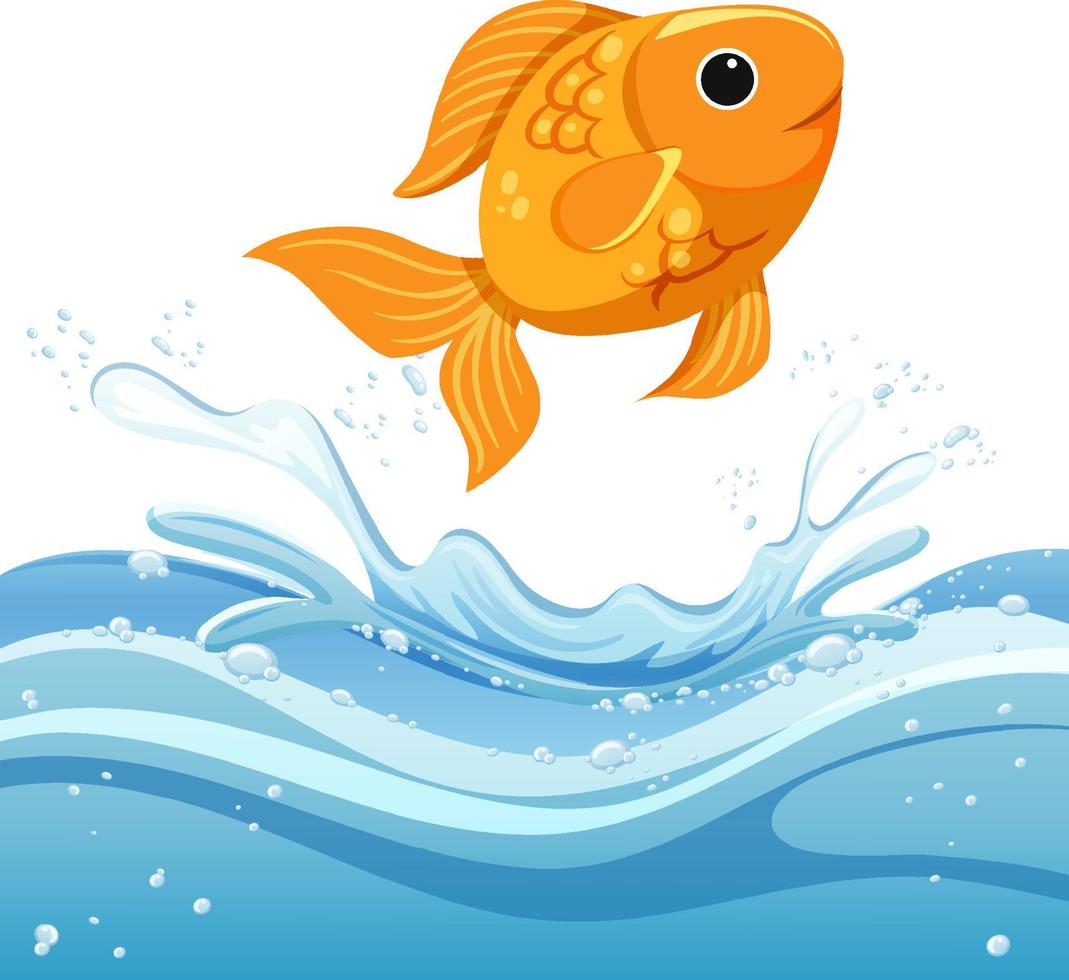 ett vattenstänk med guldfisk på vit bakgrund vektor