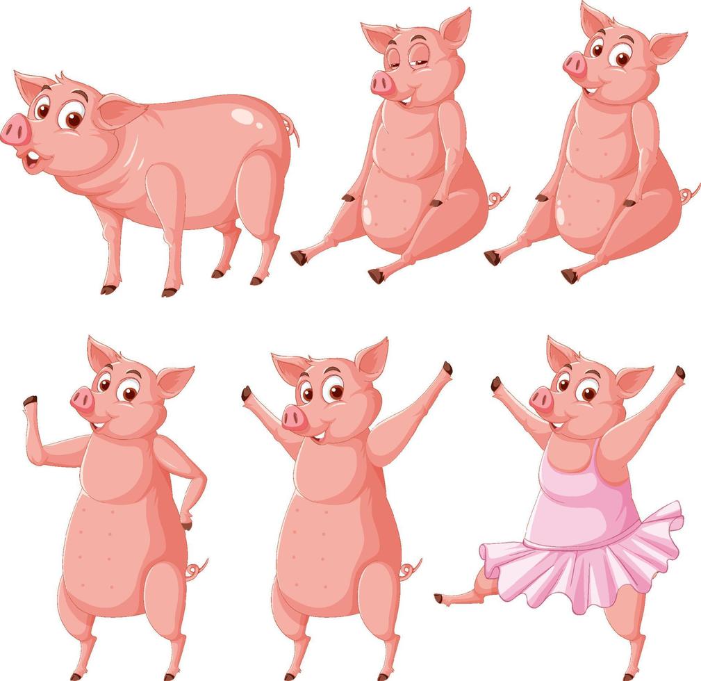Reihe von Schweinen in verschiedenen Posen vektor