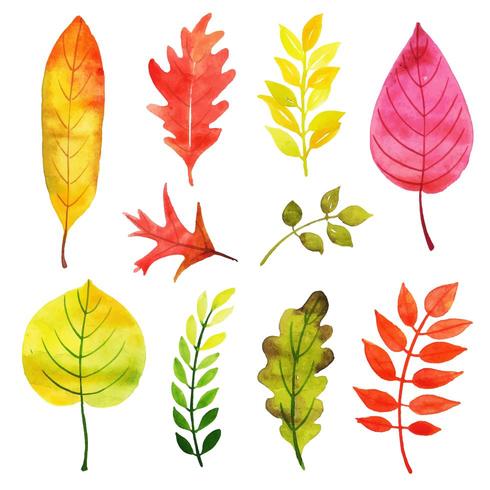 Blätter, die Farbsammlung ändern vektor