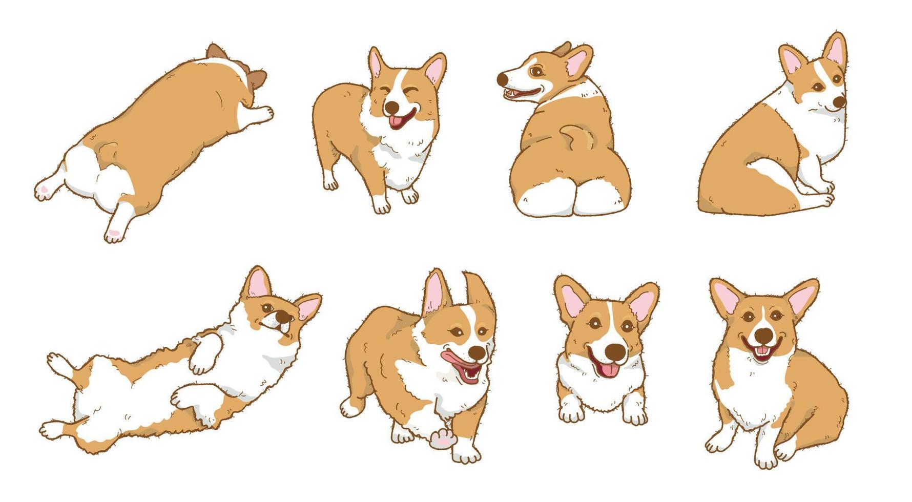 tecknad corgi hund illustration samling vektor