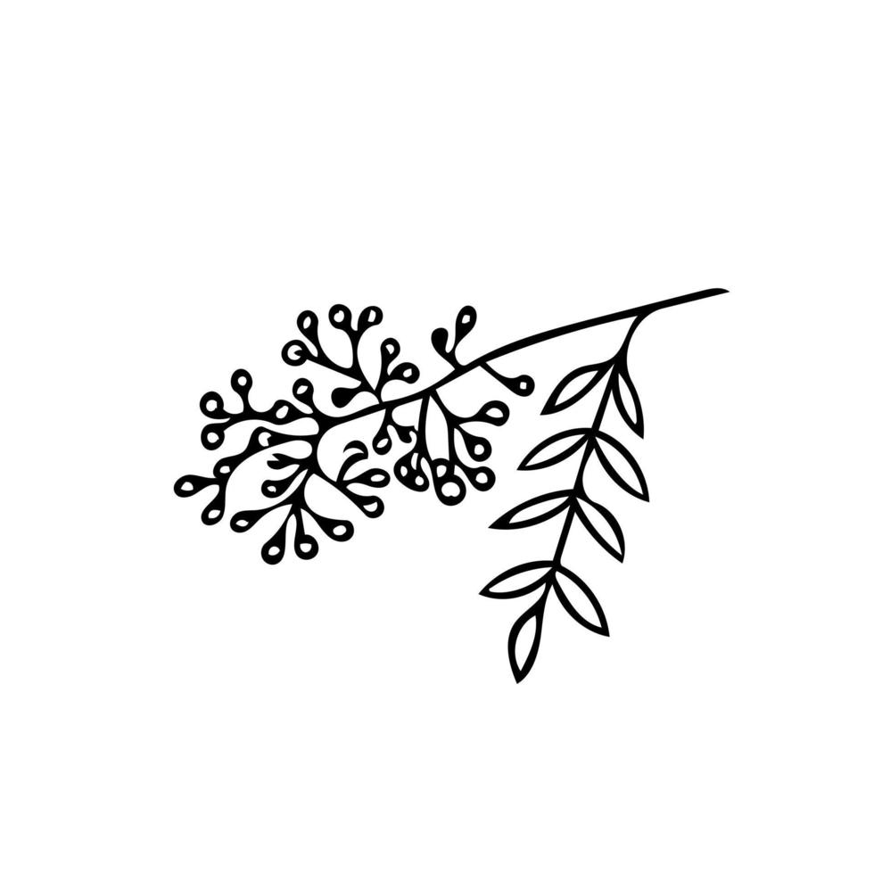 rönn gren i handritad stil. skandinavisk enkel doodle stil. sommar, höst, natur, växt, löv. dekorelement, ikonkort vektor