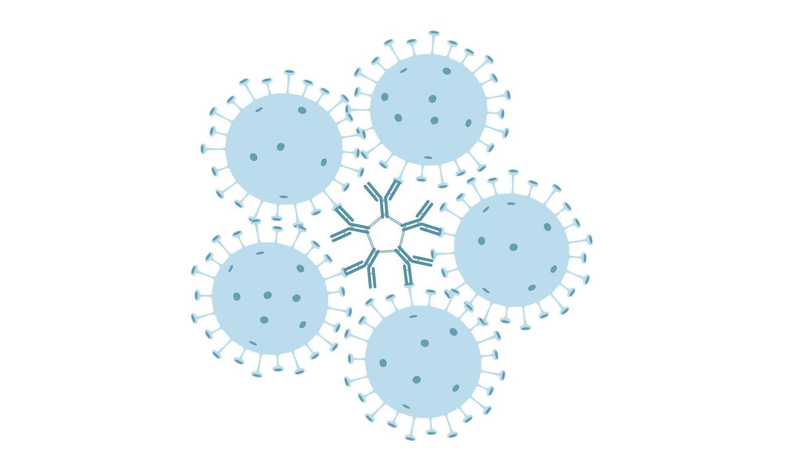 Antikörper igm binden das Virus, um dessen Wirkung im Körper zu schwächen. Immunreaktion. Wohnung. Vektor-Illustration vektor