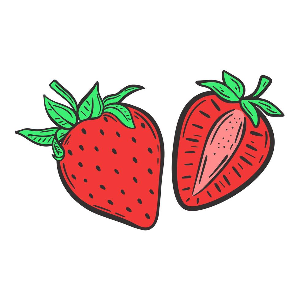 rote Erdbeeren auf weißer Hintergrundvektorillustration vektor