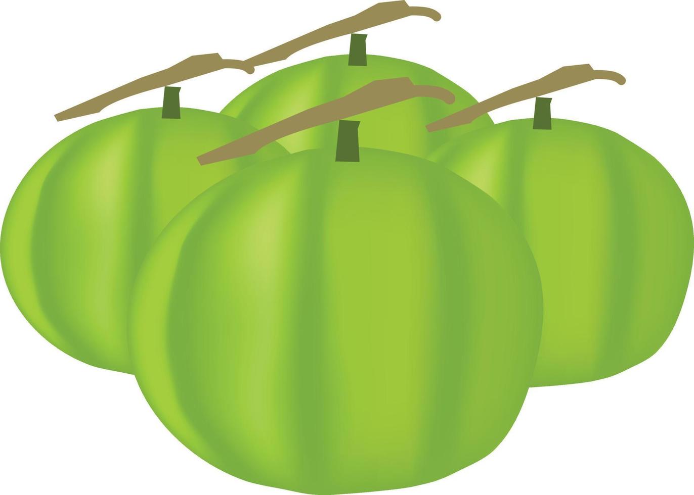isolerad guava. en hel grön och en halv guavafrukt med rosa kött på en gren med löv isolerade på vit bakgrund vektor