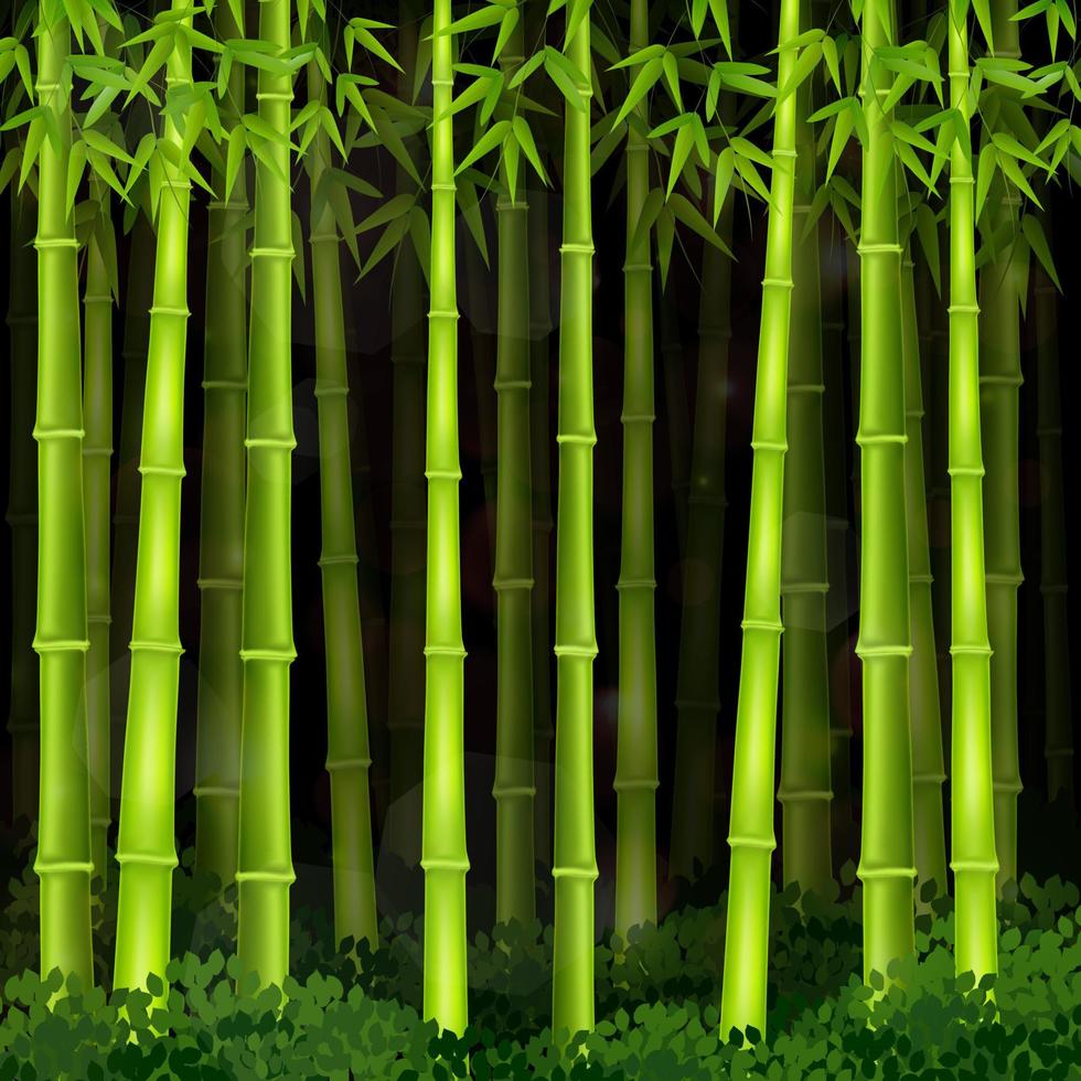 vektor illustration av bakgrund bambu skog på natten