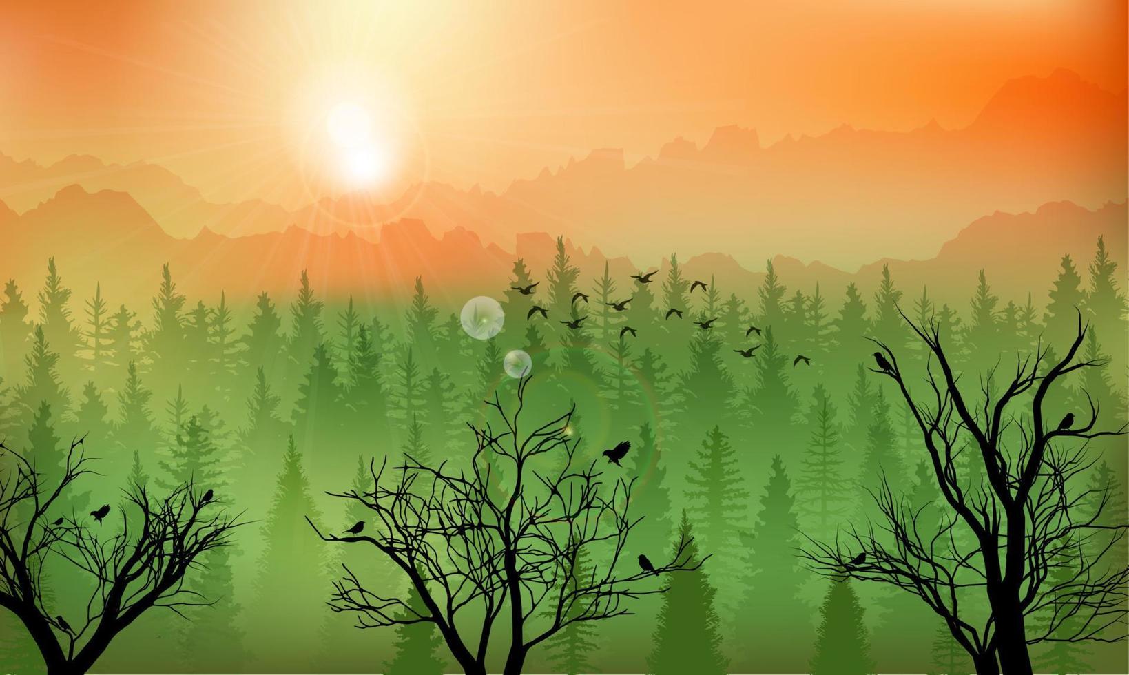 vektor illustration av bergsskog bakgrund vid solnedgången