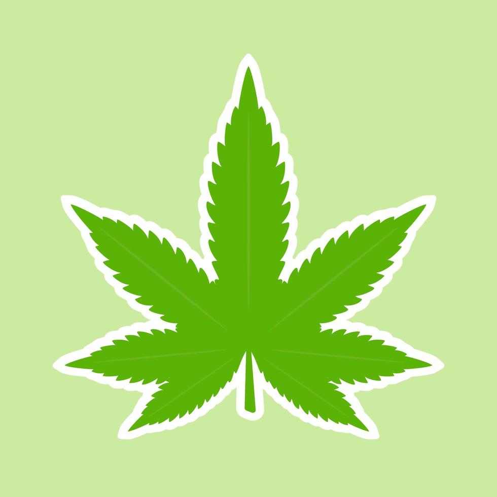 Cannabis Marihuana Unkraut grünes Blatt. medizinisch, Ganja-Cannabis. vektorillustration lokalisiert auf grünem hintergrund vektor