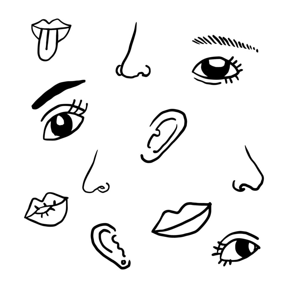 vektor linje ögon, öron, mun och näsa