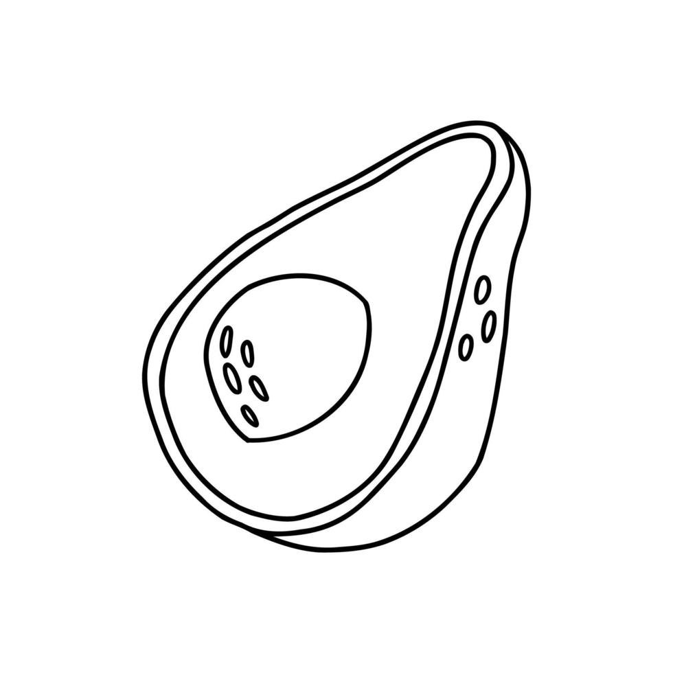 kritzeln sie eine halbe avocado. hand gezeichnete vektorillustration. vektor