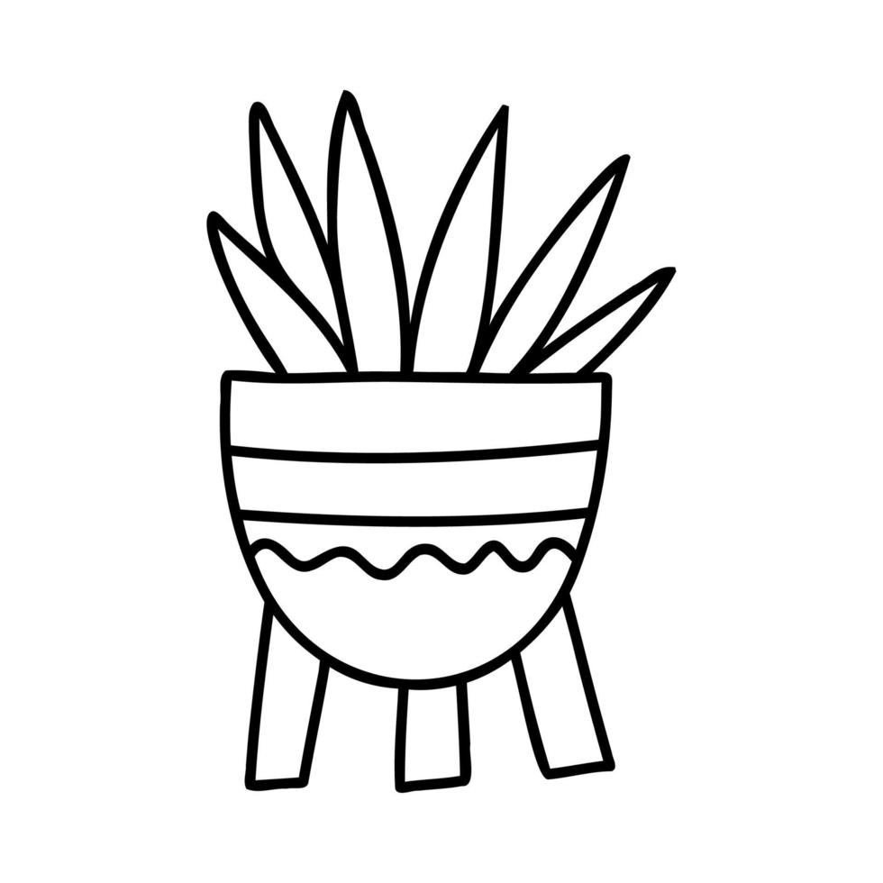 doodle hem växter i söta krukor i platt stil. hem blommor, grönska. handritad vektorillustration isolerad på vit bakgrund. vektor