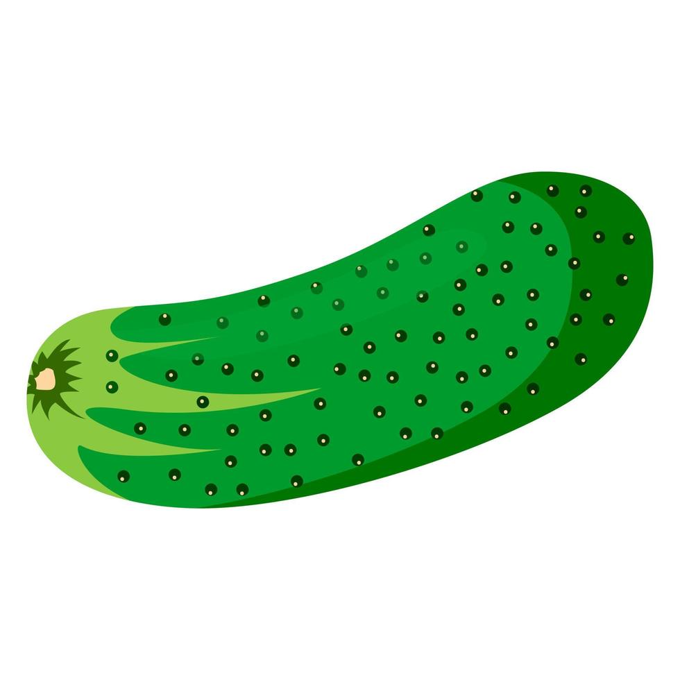 illustration av en grön gurka vektor
