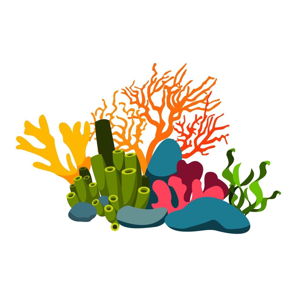 bild av koraller och alger vektor