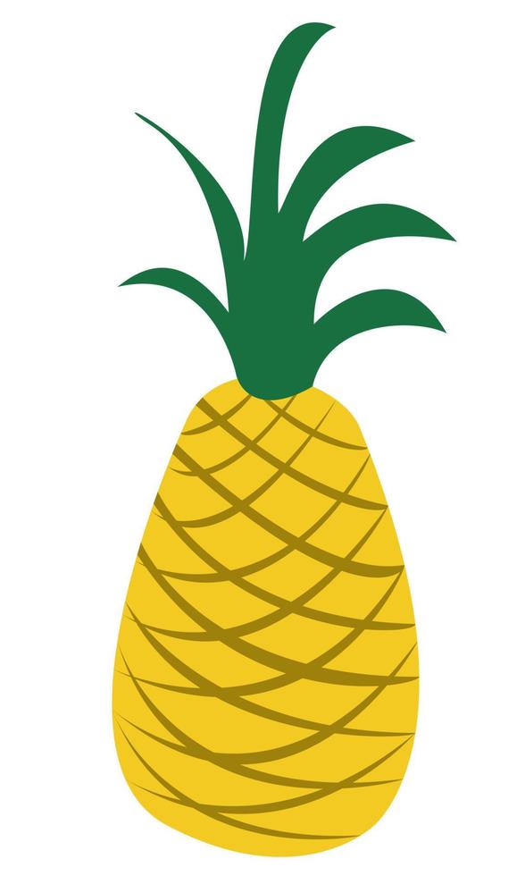 vektor illustration ananas, bra design för alla ändamål. vektor isolerade illustration set. modern platt tecknad stil. vektor dekorativa objekt. hälsosam kost.