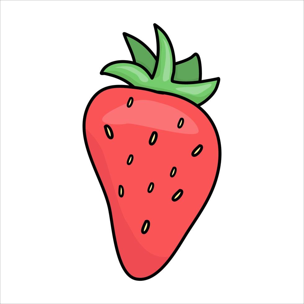 Erdbeere in Schokolade. Illustration der bunten Erdbeere. Vektor. Vektor-Illustration vektor