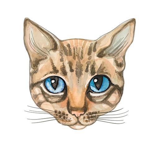 Katt ansikte. Vattenfärg. Vektorillustration. Fullblod katt. vektor