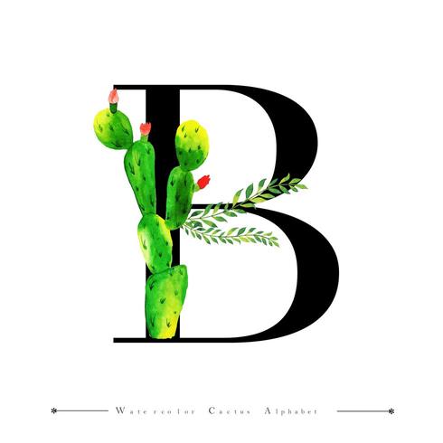 Alfabetet bokstaven B med akvarell kaktus och blad vektor