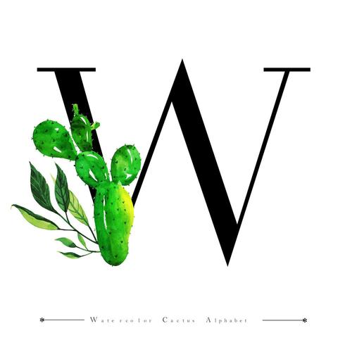 Alfabetet bokstaven W med akvarell kaktus och blad vektor