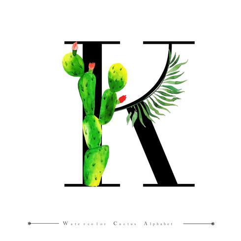 Alfabetet bokstaven K med akvarell kaktus och blad vektor