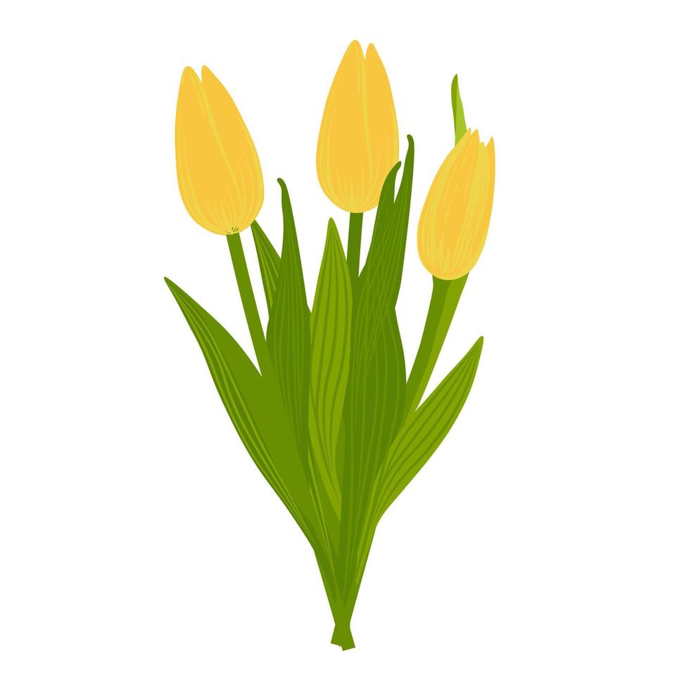 ein Strauß gelber Tulpen. Vektor Stock Illustration. Frühlingsblumen. ein Element für eine Postkarte. isoliert auf weißem Hintergrund.