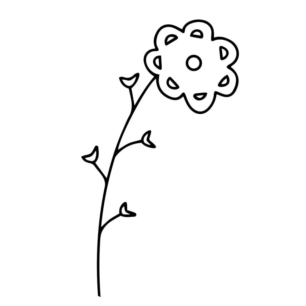 zarte Schwarz-Weiß-Skizze einer Frühlingsblume. vektorillustration im handgezeichneten stil. vektor