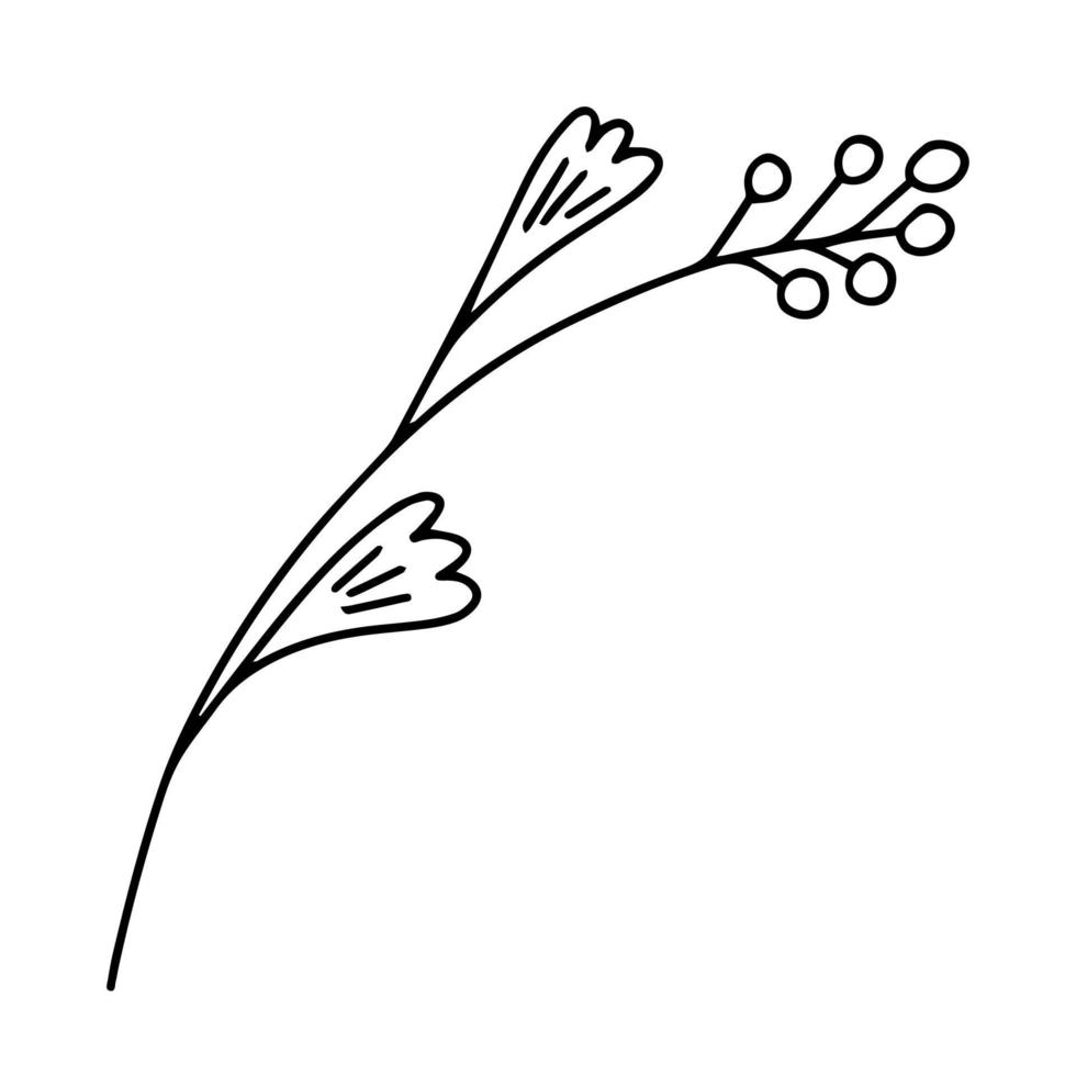 zarte Schwarz-Weiß-Skizze einer Frühlingsblume. vektorillustration im handgezeichneten stil. vektor