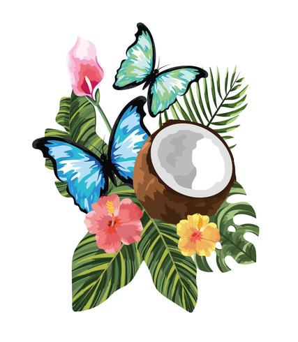 Schmetterlinge mit tropischer Kokosnuss und Blüten mit Blättern vektor