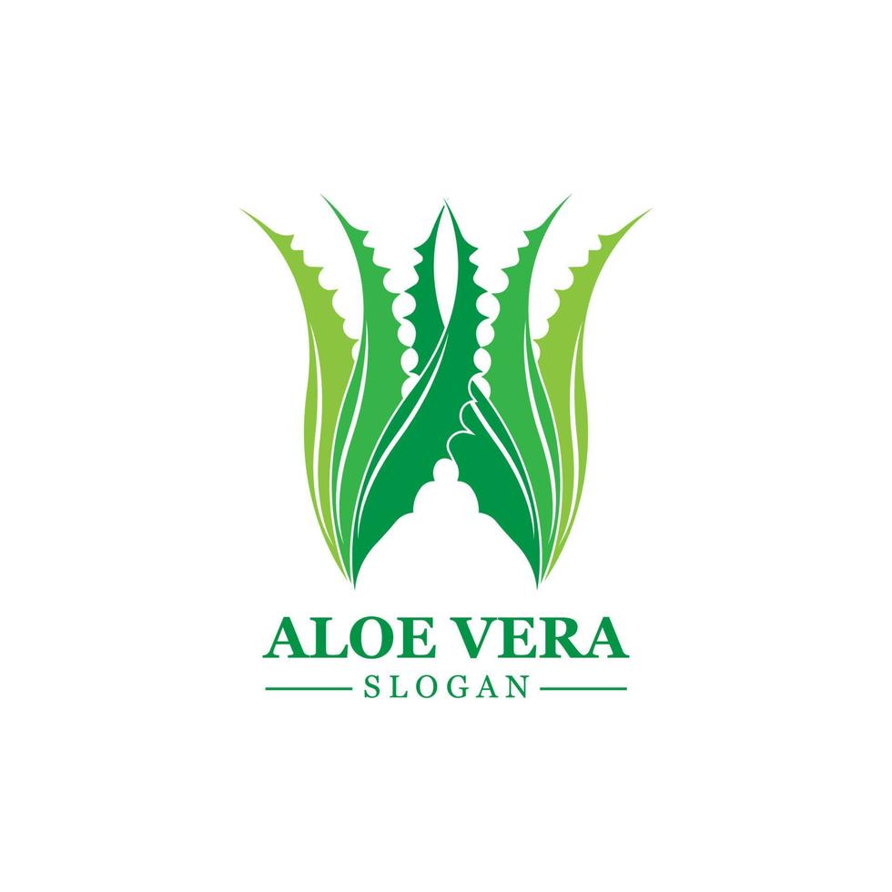 grön växt aloe vera logotyp vektor ikon symbol många fördelar