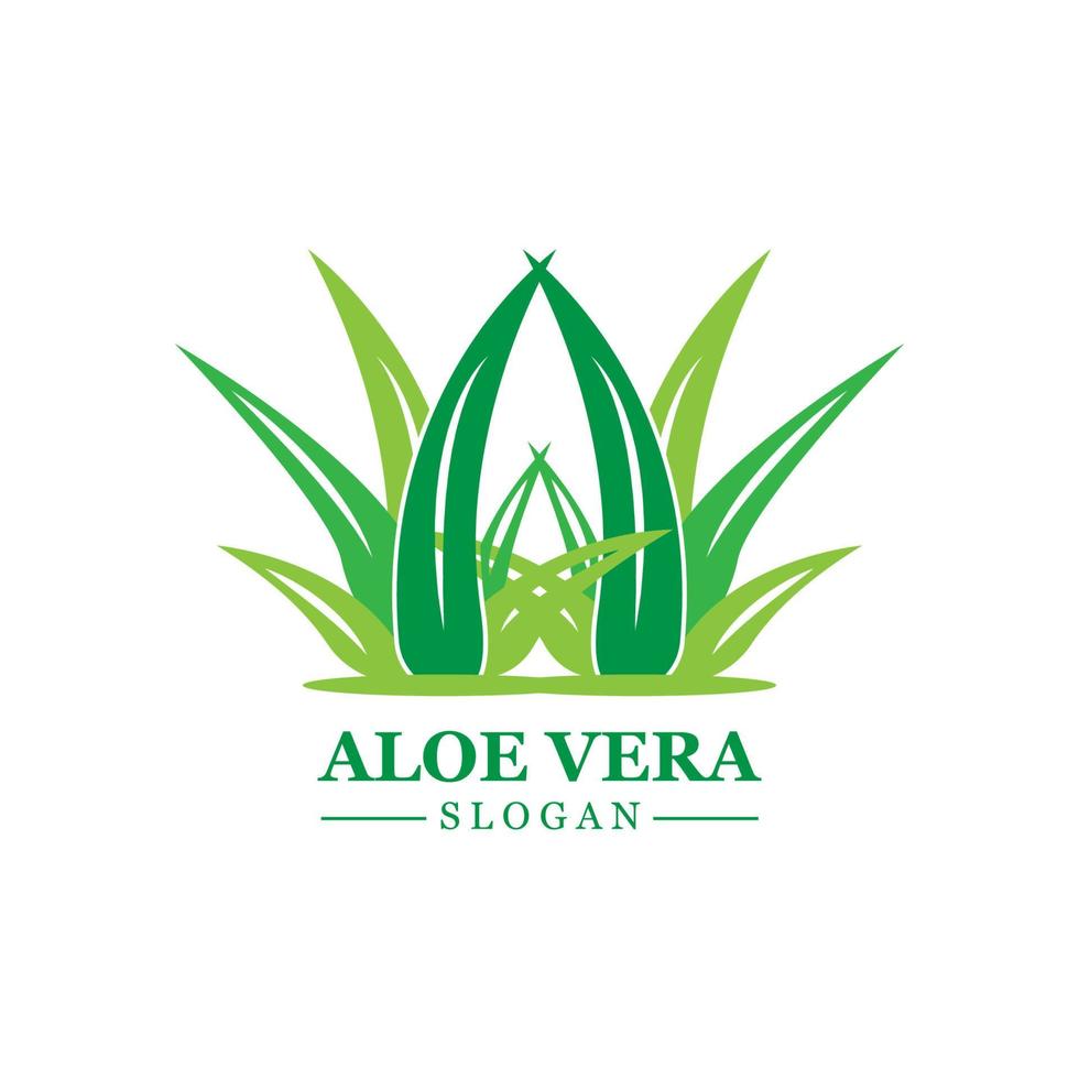 Grüne Pflanze Aloe Vera Logo Vektorsymbol Symbol viele Vorteile vektor