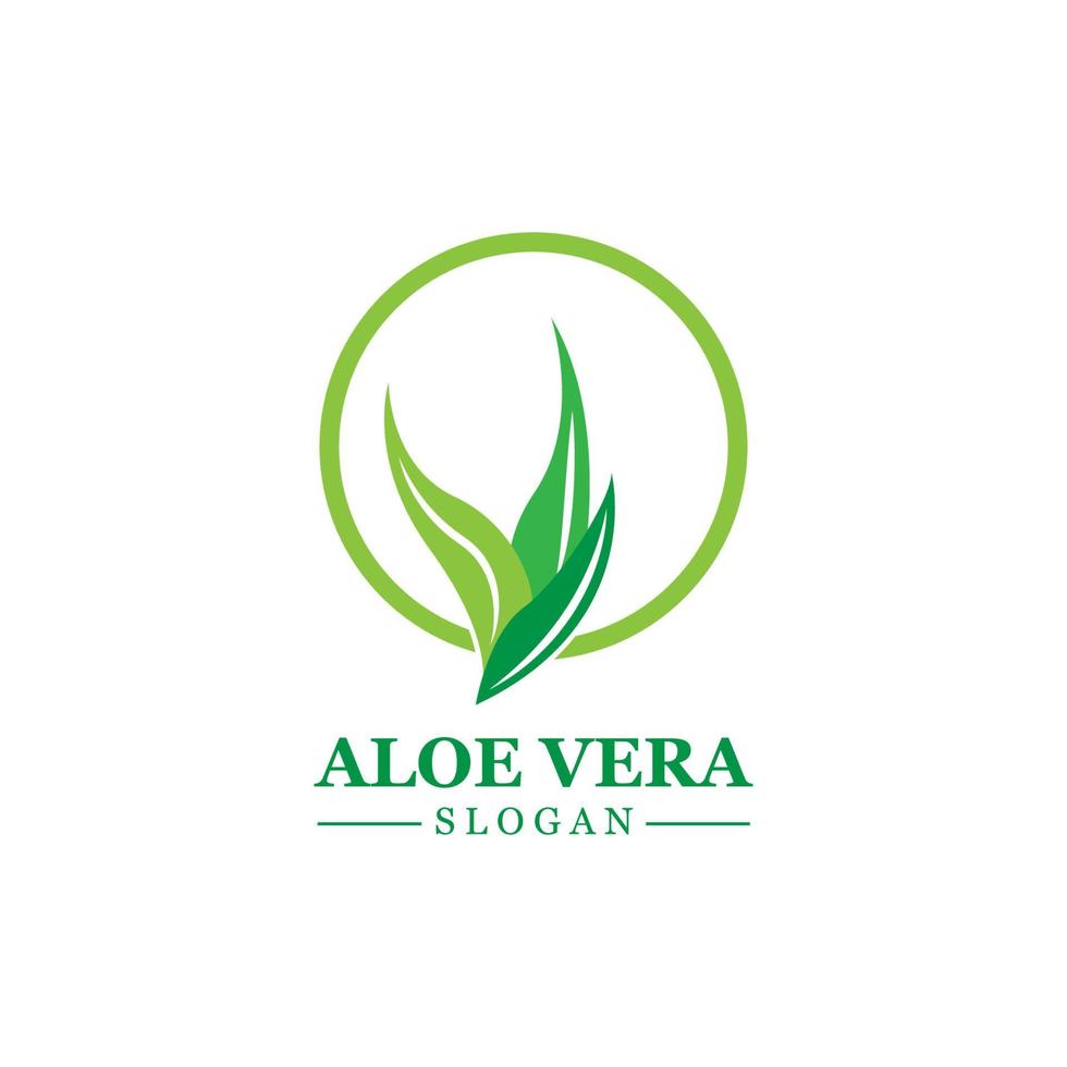 Grüne Pflanze Aloe Vera Logo Vektorsymbol Symbol viele Vorteile vektor