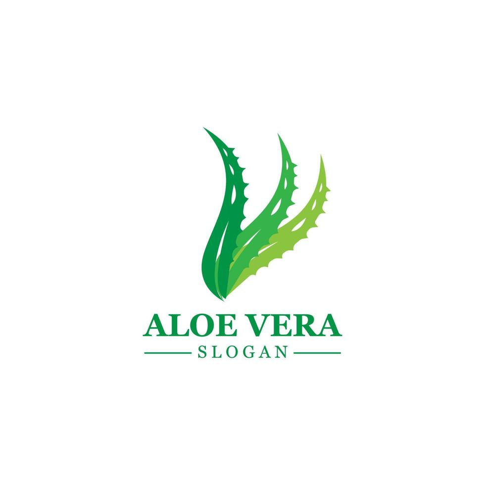 Grüne Pflanze Aloe Vera Logo Vektorsymbol Symbol viele Vorteile vektor