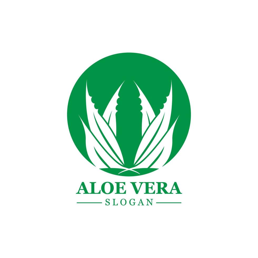 grön växt aloe vera logotyp vektor ikon symbol många fördelar