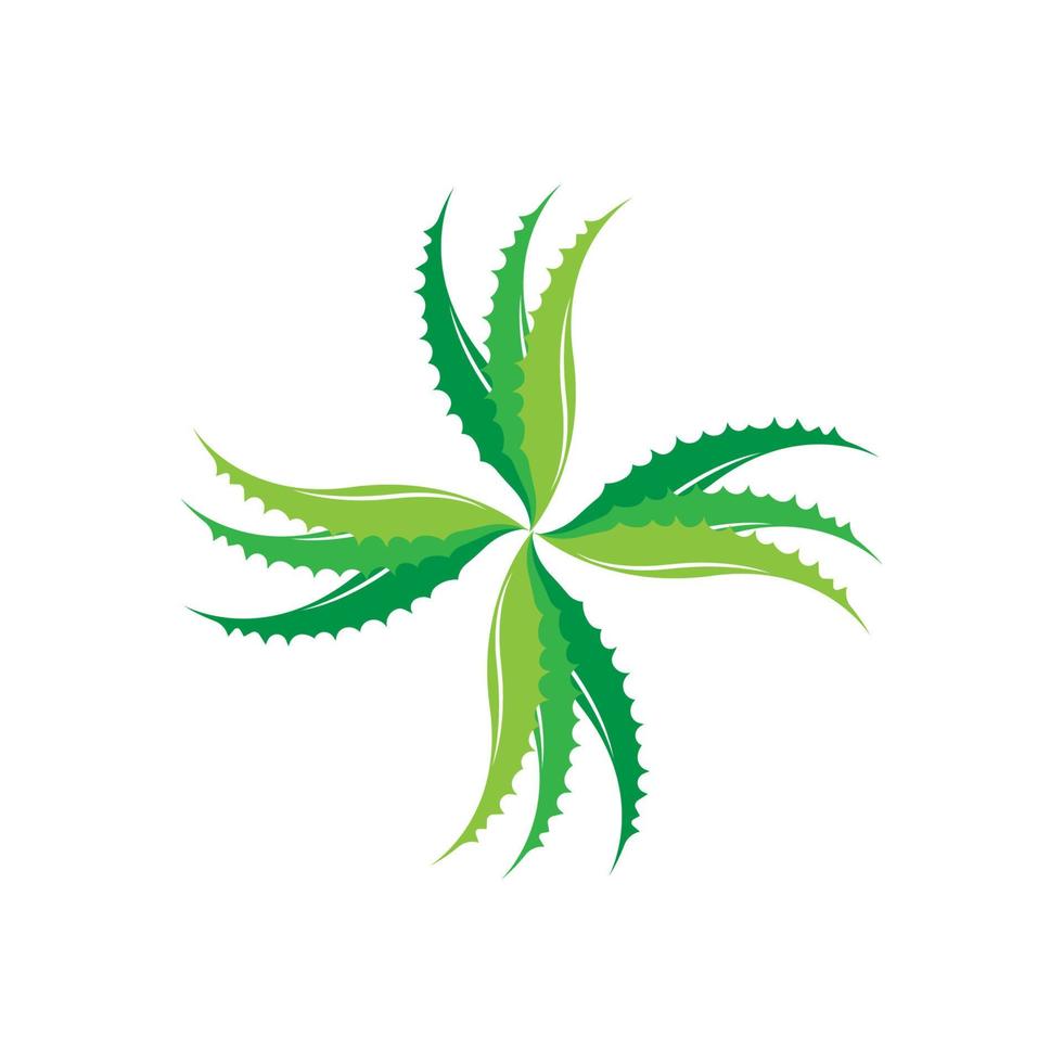 Grüne Pflanze Aloe Vera Logo Vektorsymbol Symbol viele Vorteile vektor