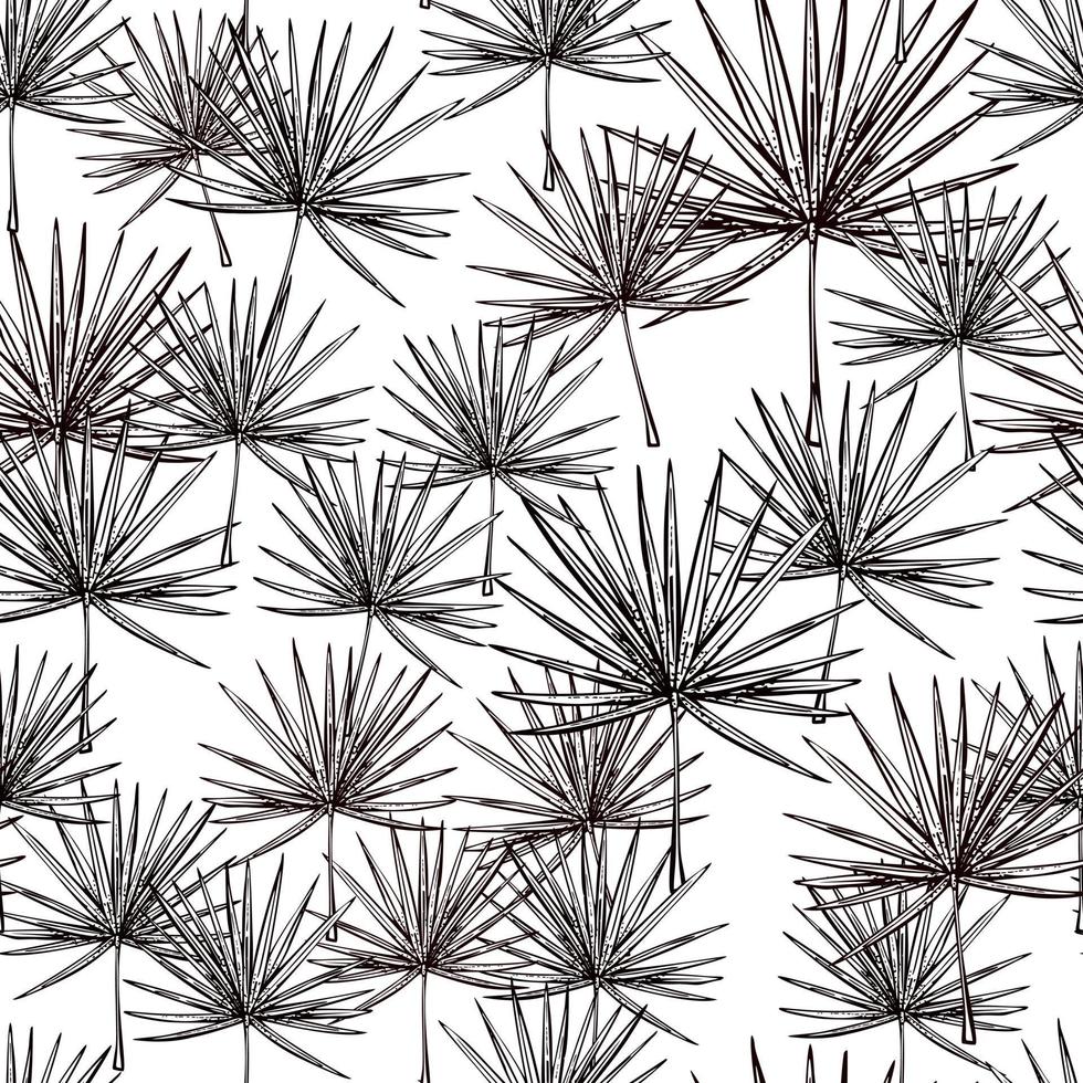 fläkt palmblad seamless pattern.vintage tropisk gren i gravyr stil. vektor